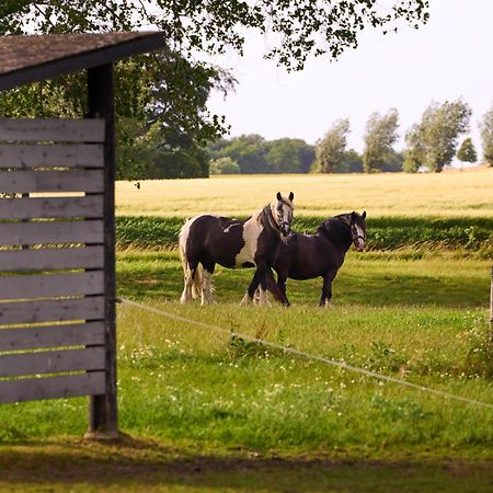 Hesselgaard Glamping Hotel Dalby Exterior photo
